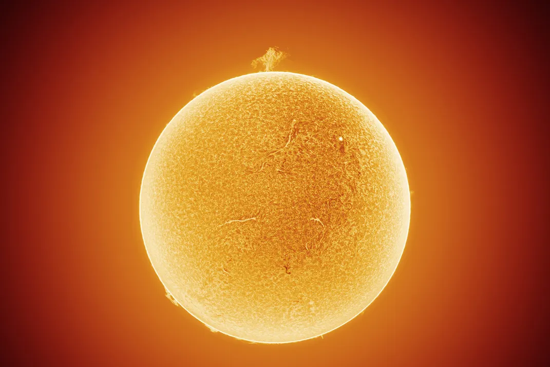 A solar prominence erupting from the surface of the sun