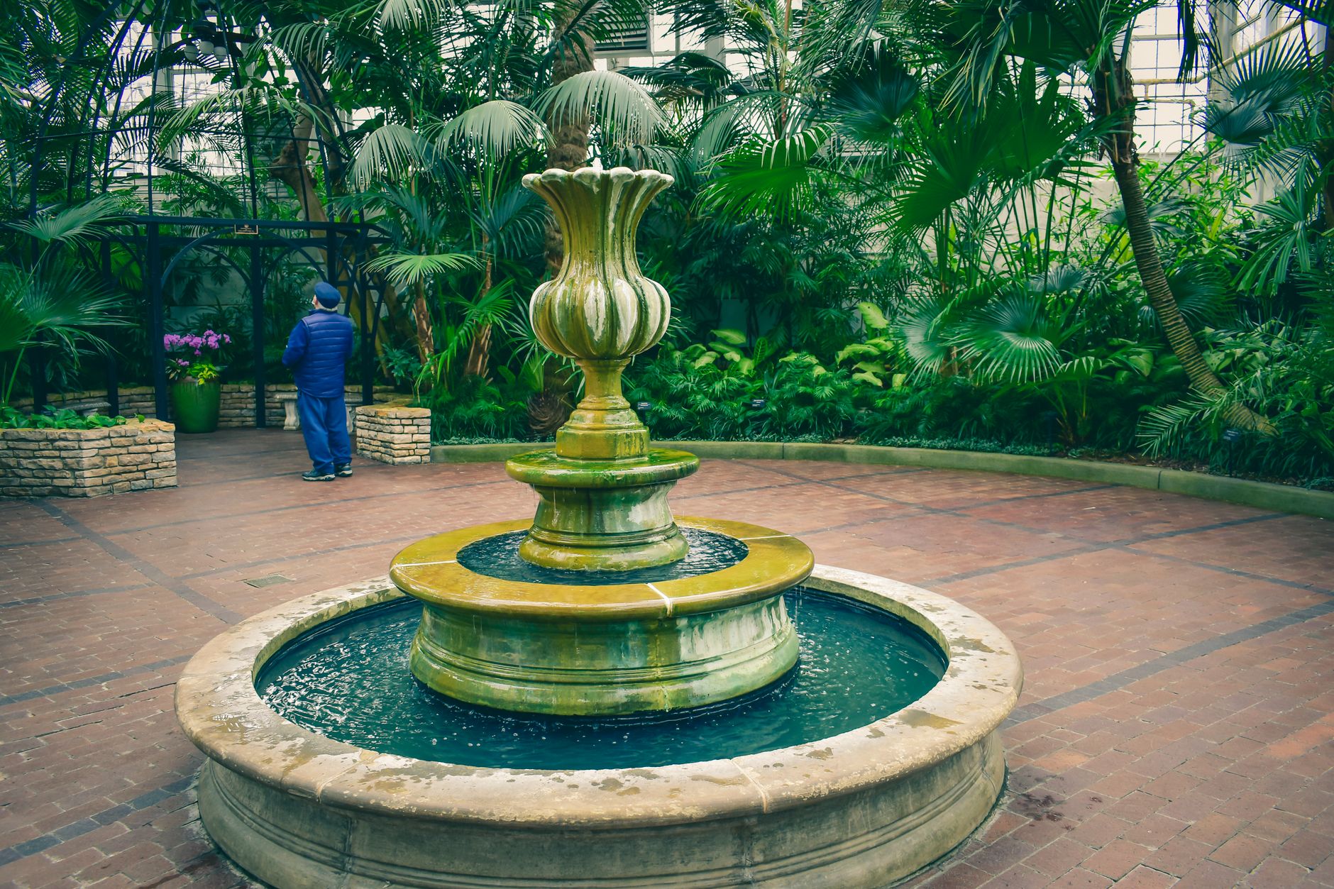 A beautiful water fountain surrounded by lush greenery in a tropical garden.
