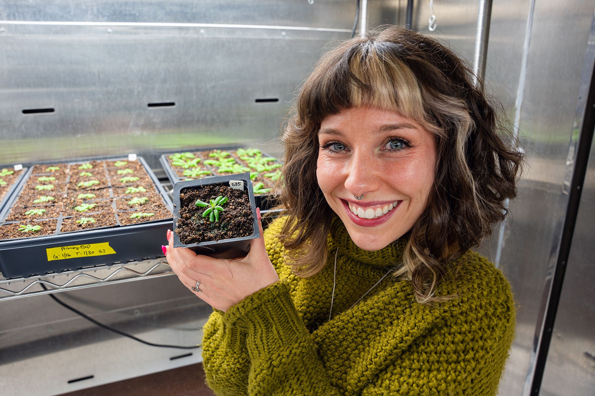 Grace Johnston led a study that manipulated hormones in a model plant species to make the plant more productive and resistant to disease.
