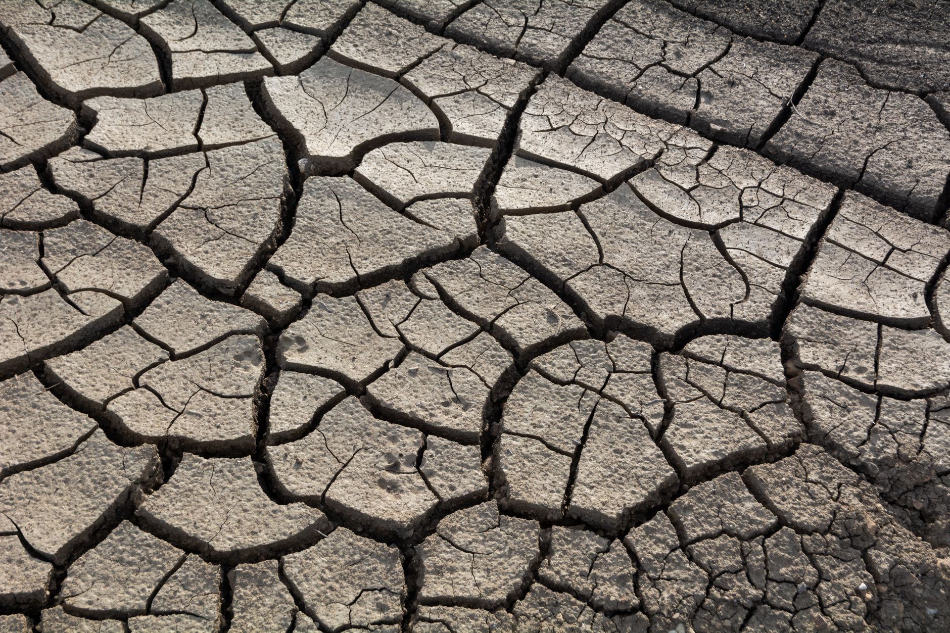 Close-up of cracked dry earth highlighting drought impact and climate change.