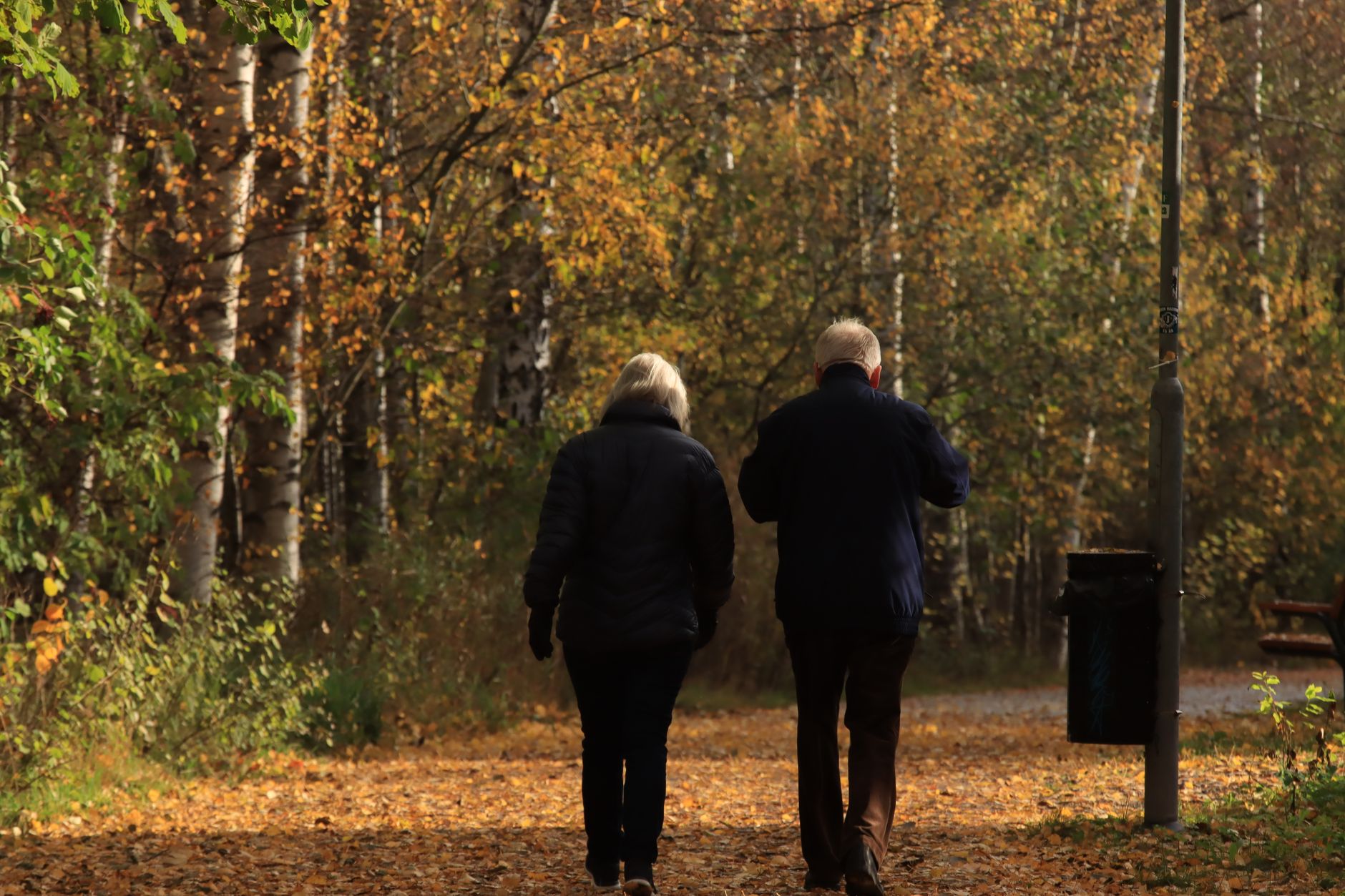 A couple walking in a serene Swedish park surrounded by autumn leaves