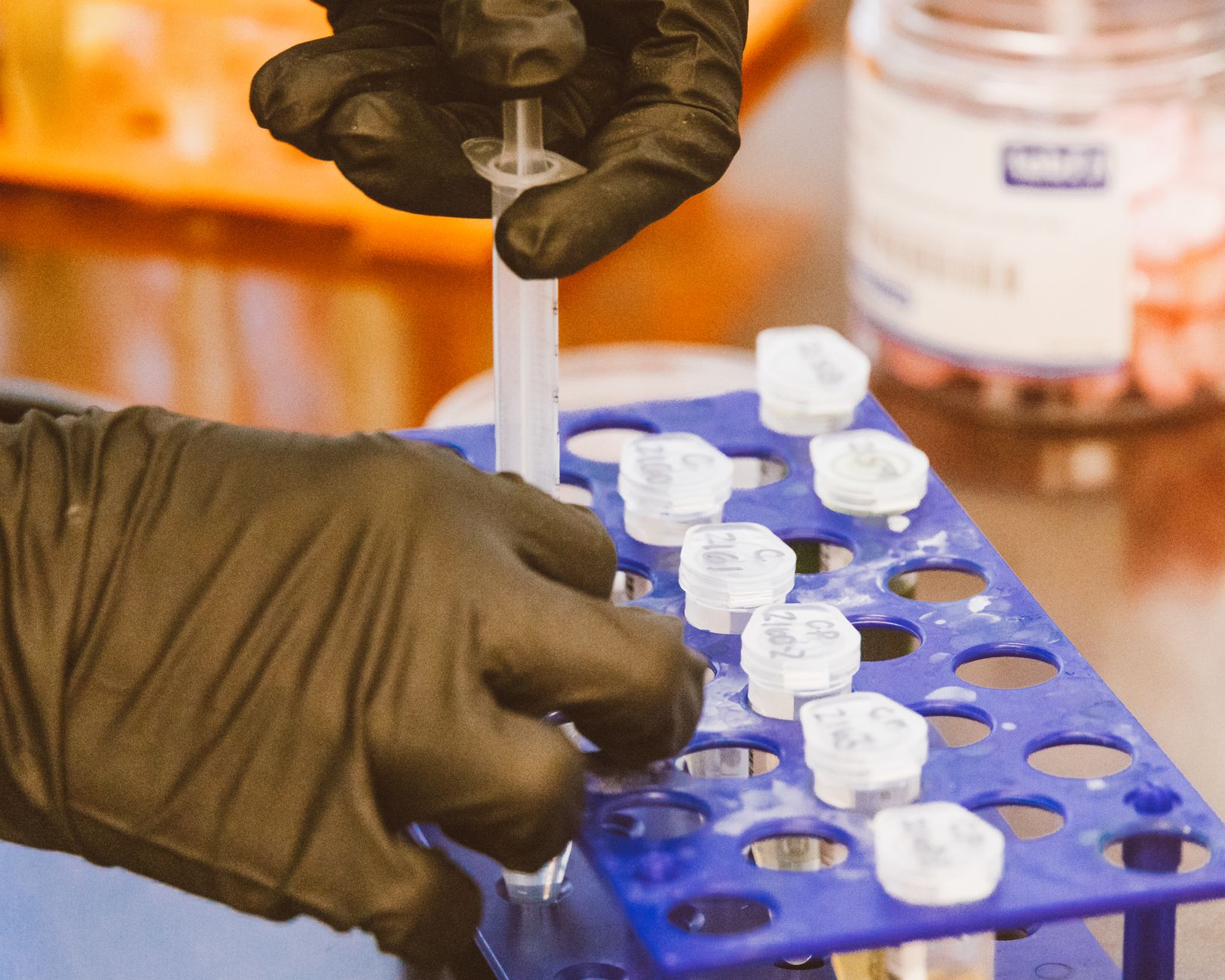 Close-up of gloved hands using syringe for precise work in a lab