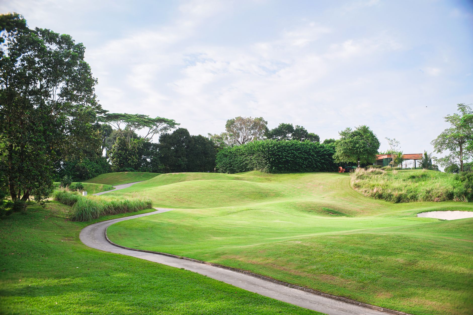 Scenic view of a vibrant golf course with manicured lawns, trees, and