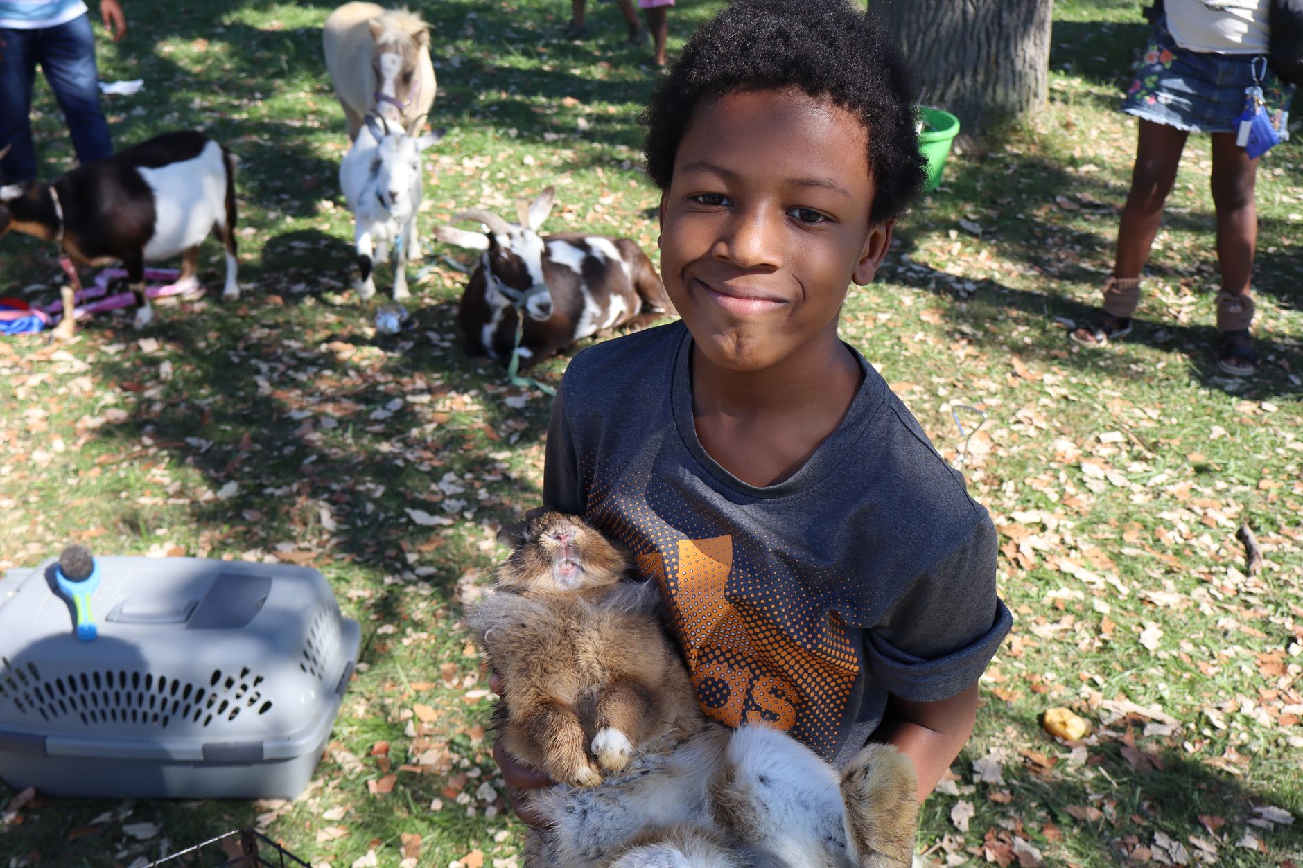 Happy child holding a fluffy rabbit outdoors at a petting zoo with