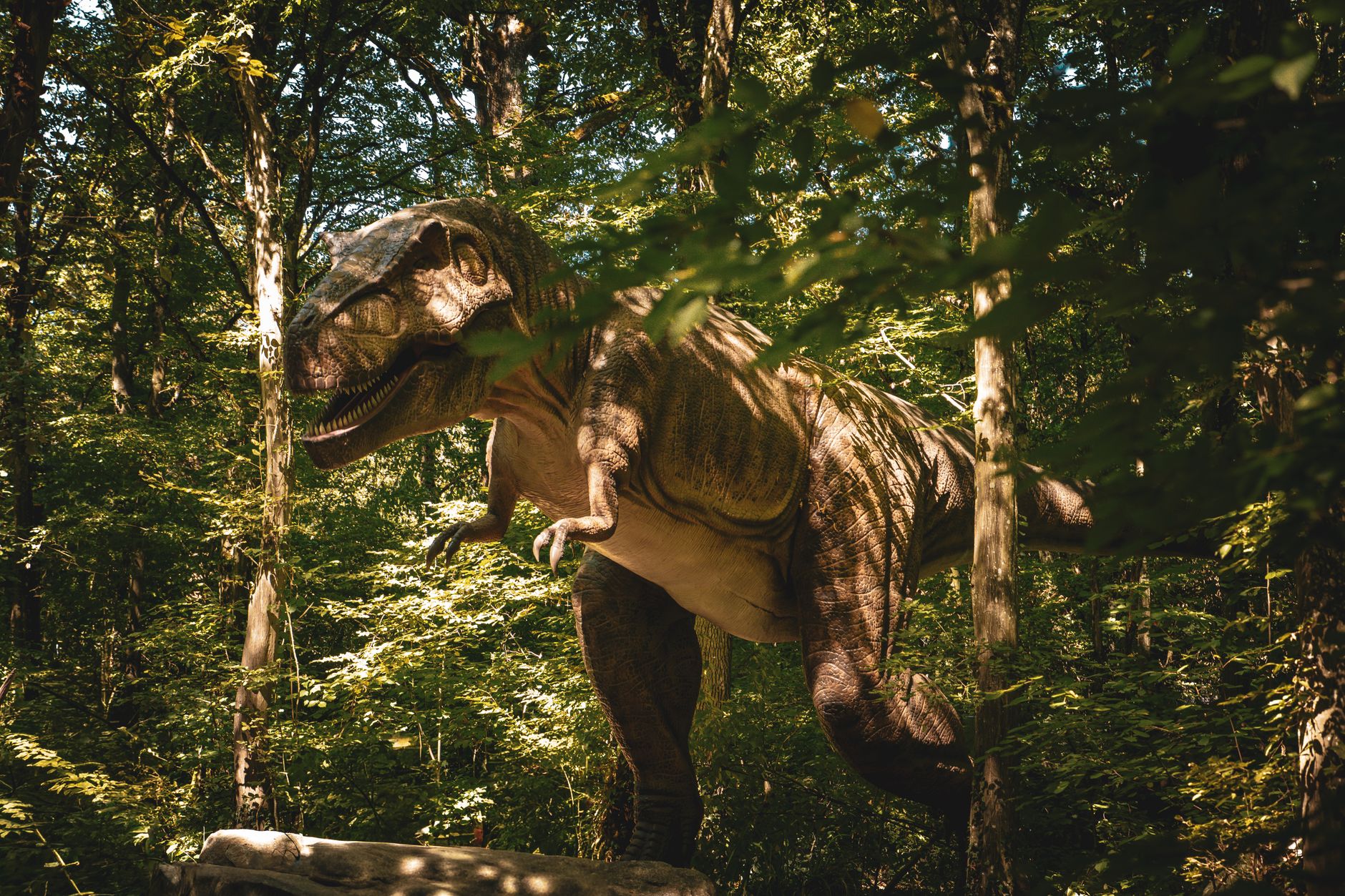 Lifelike Tyrannosaurus rex statue among trees, evoking a prehistoric jungle.