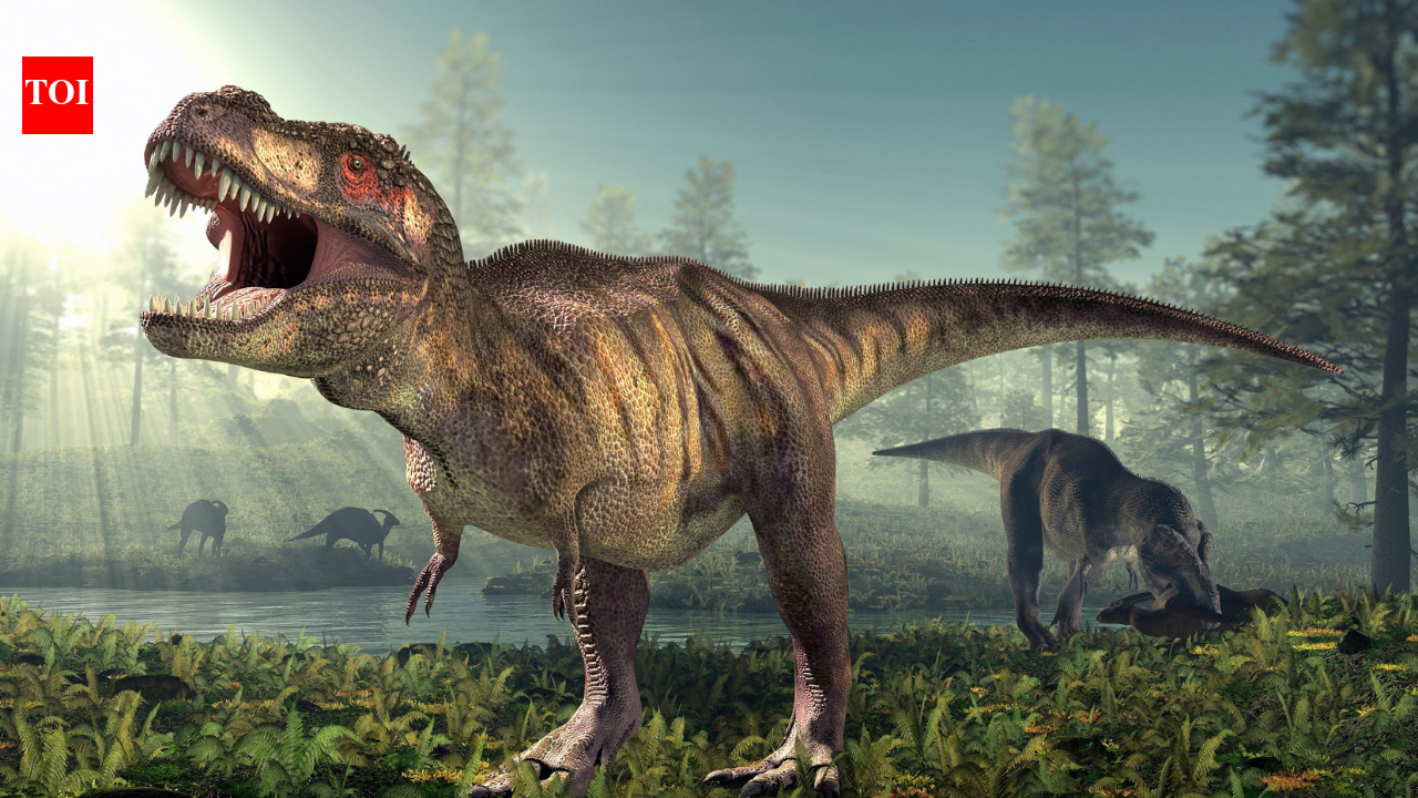 t-rex-body-temperature-new-study-reveals-warm-bl-6aaeff3c5d02b