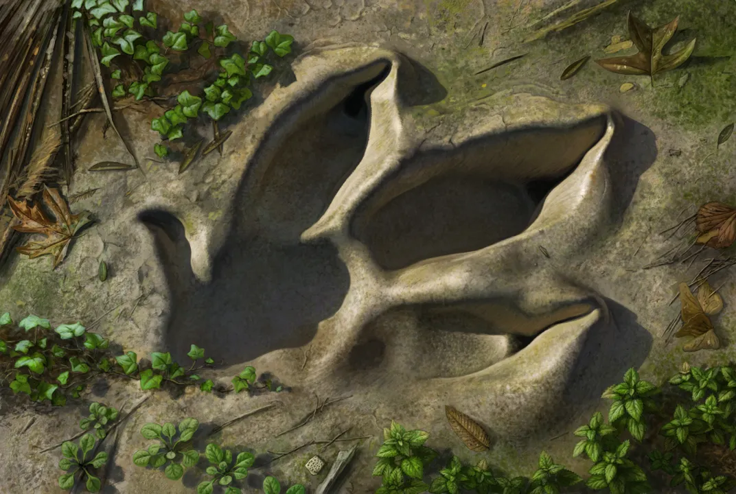 An illustration of a large three-toed footprint filled with water