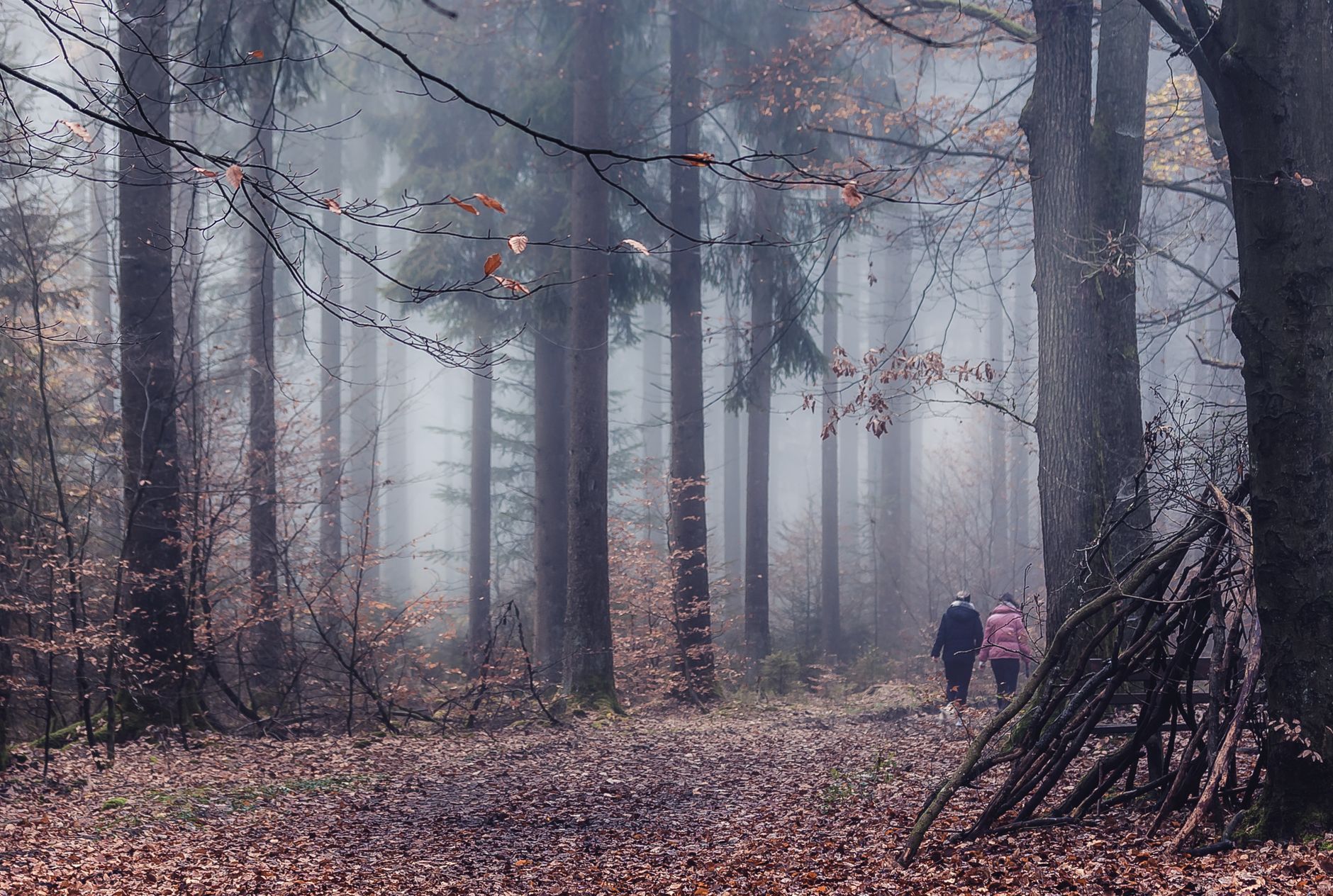 Two adults walking through a misty forest with fallen leaves and bare trees.