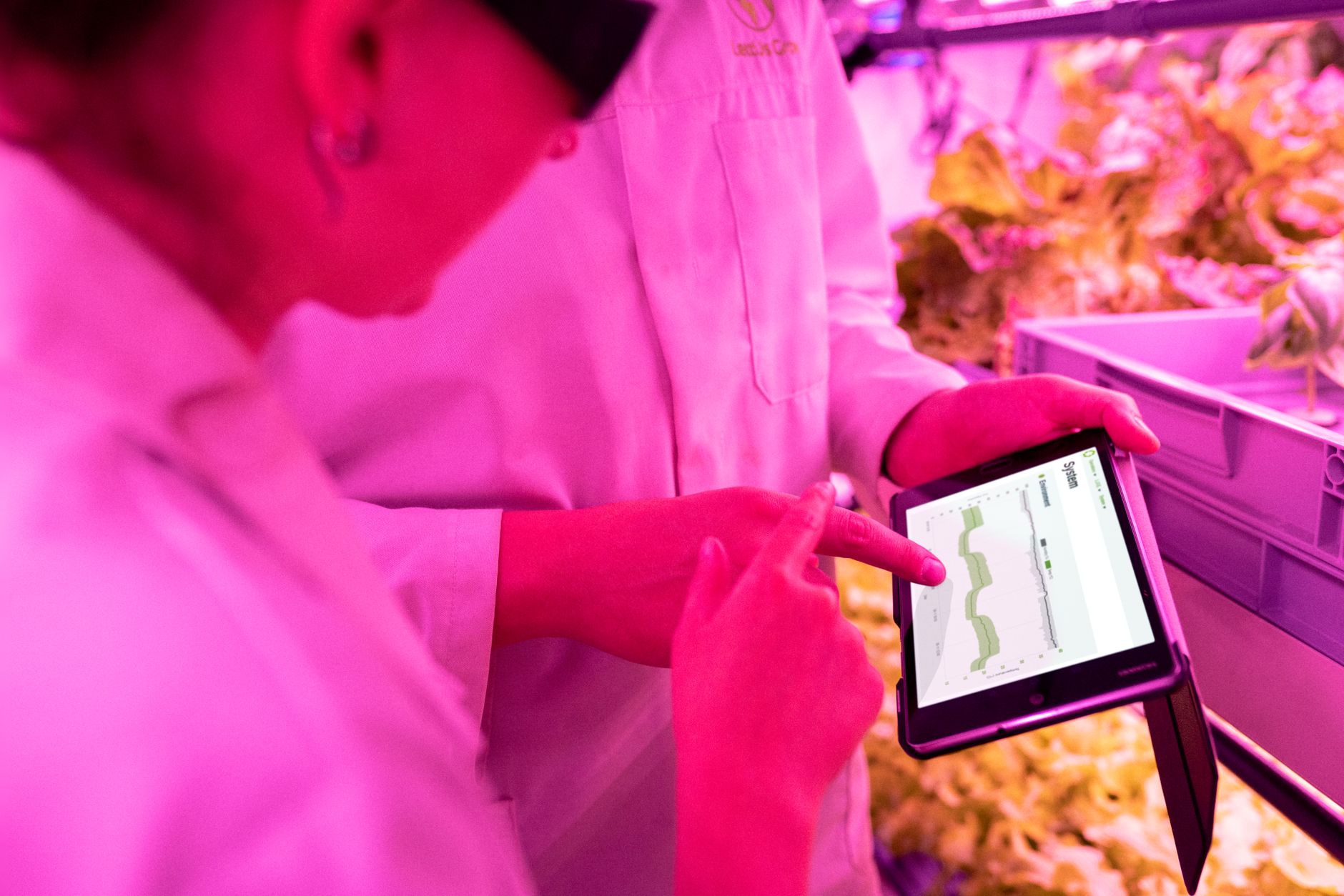 Scientists monitor crop growth in an indoor farm using digital tablets for
