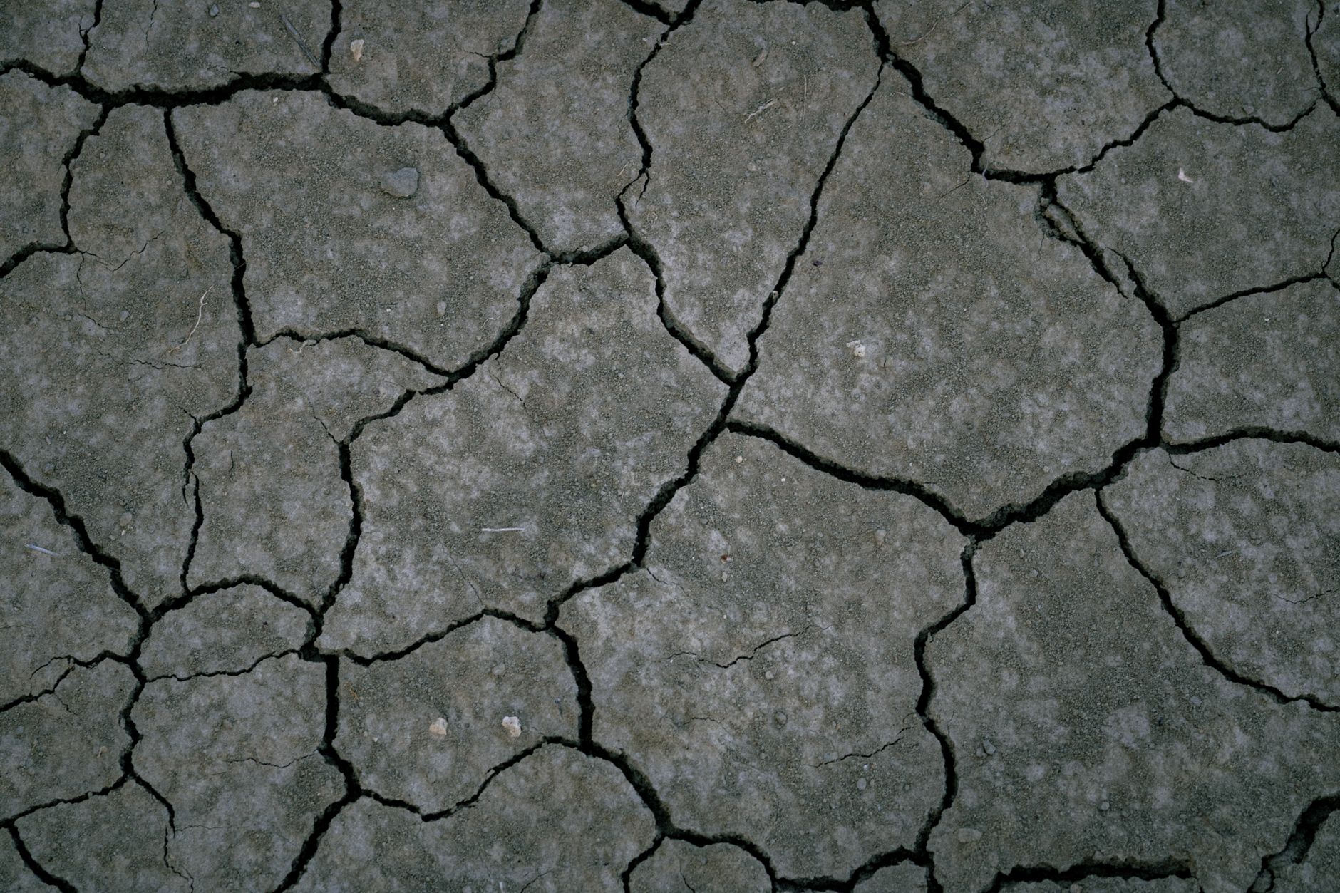 Aerial view of cracked earth, showcasing natural erosion and dry terrain.