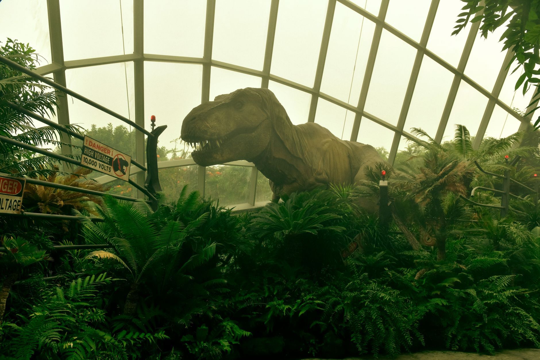 Majestic T-Rex statue surrounded by lush ferns inside a glass vault.