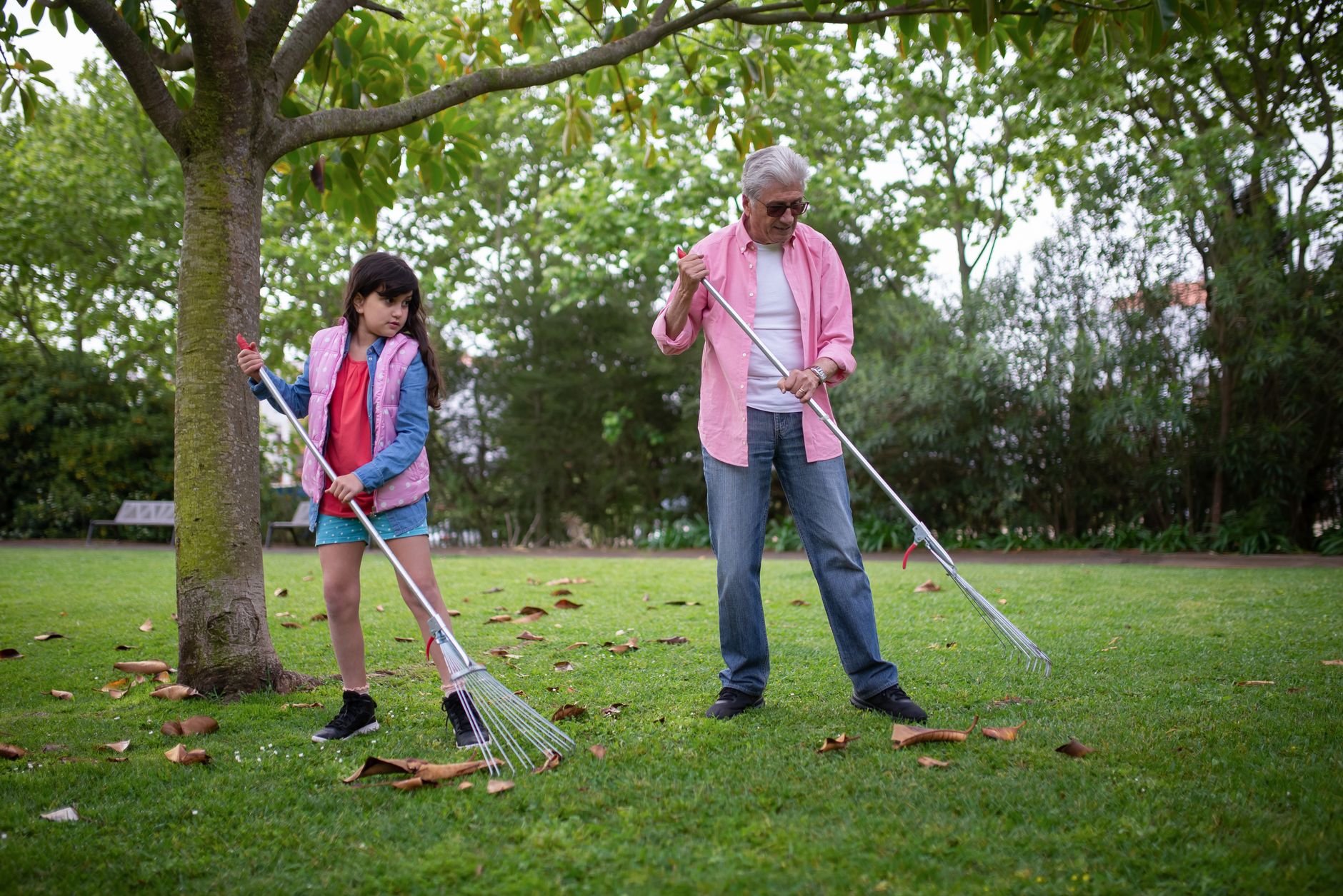 Warm family moment outdoors with grandfather and granddaughter raking leaves in a