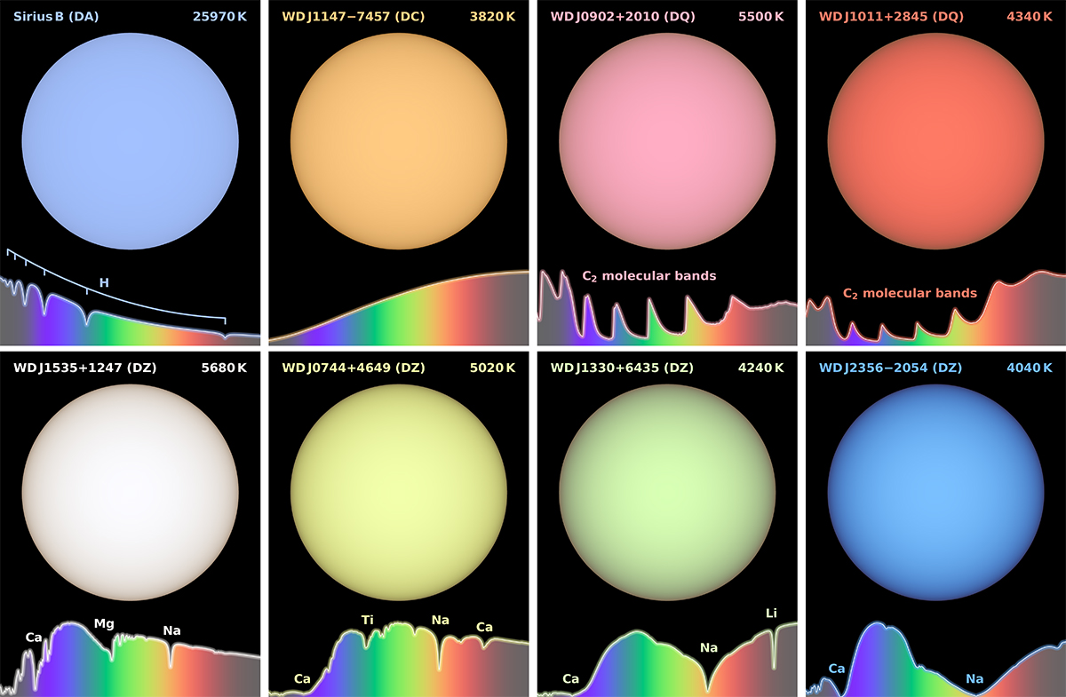 Simulated images showing the calculated colours of white dwarfs. Credit: Mark Hollands/University