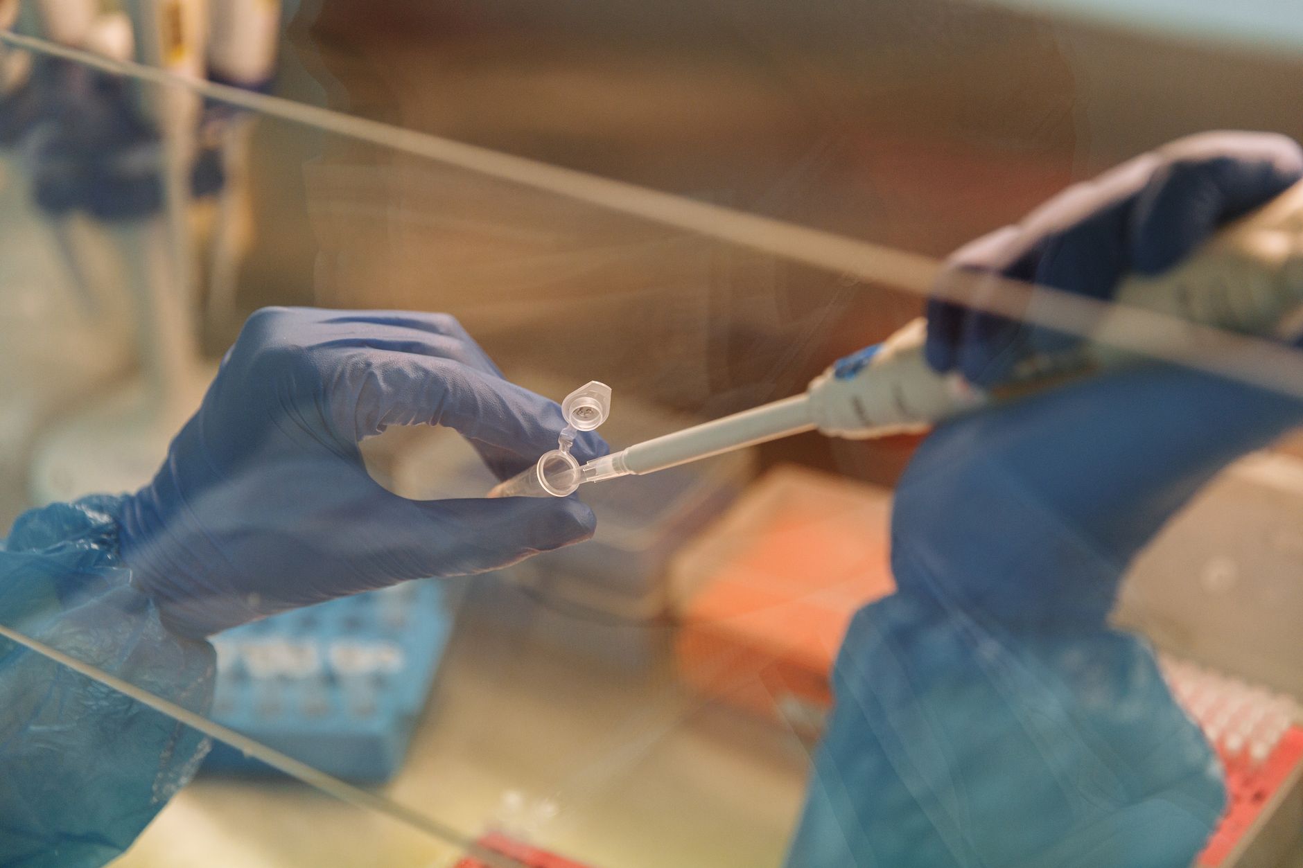 Close-up of scientist using a pipette with test tubes in a laboratory