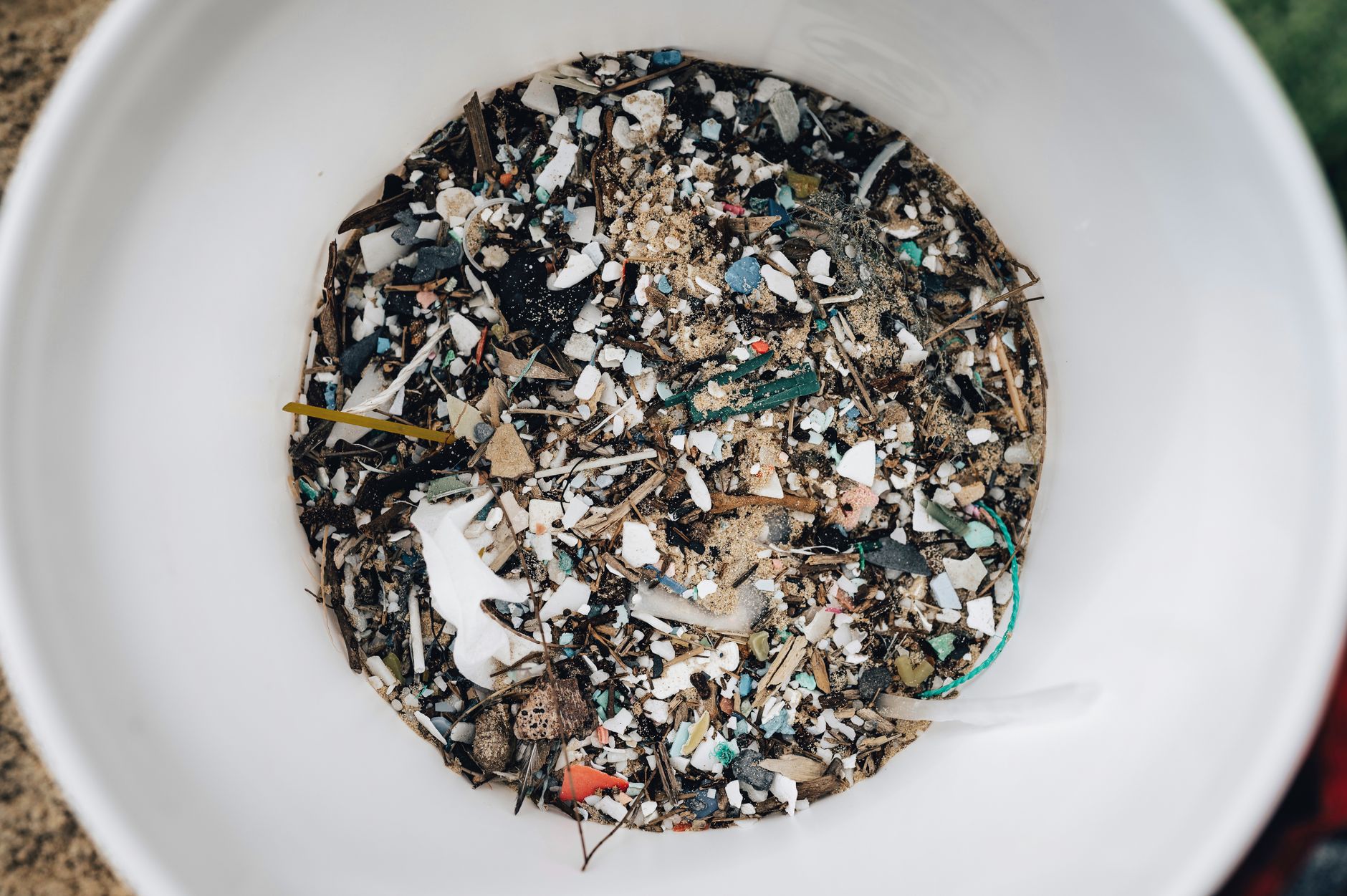 Detailed view of microplastics and debris collected in a white circular container