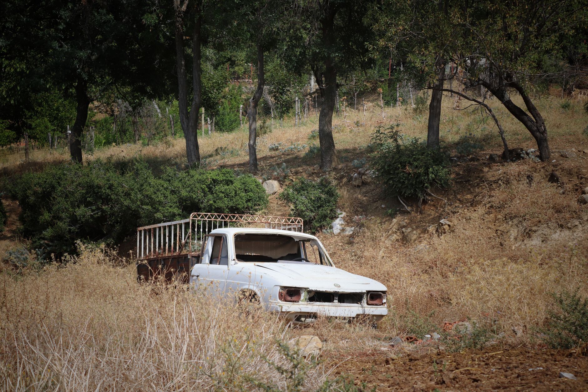 A weathered pickup truck sits abandoned in an overgrown rural landscape under
