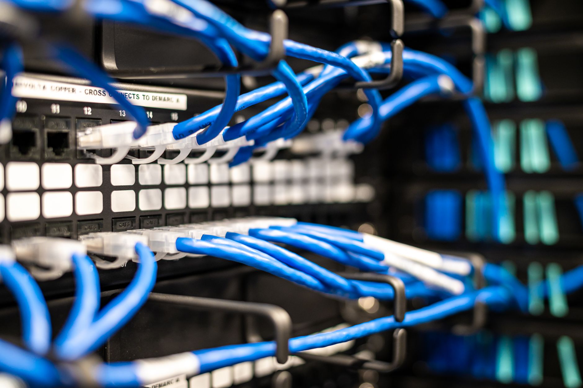 Blue plastic wires with white tips connected to server and provide access