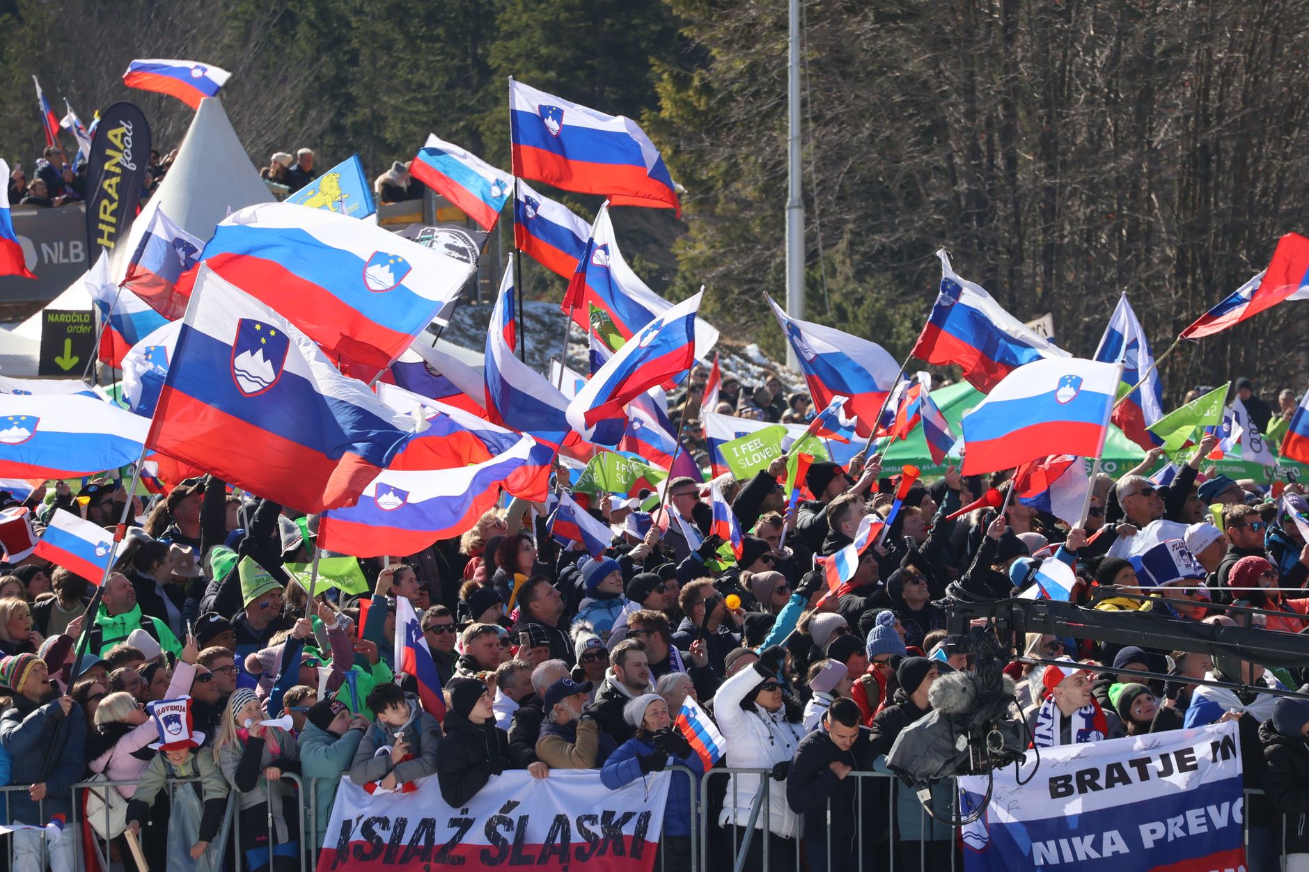 Vibrant gathering of people waving Slovenian flags in a festive outdoor event.