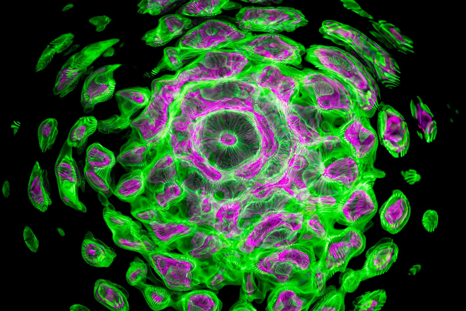 Dynamic abstract pattern in striking green and purple hues creating a complex