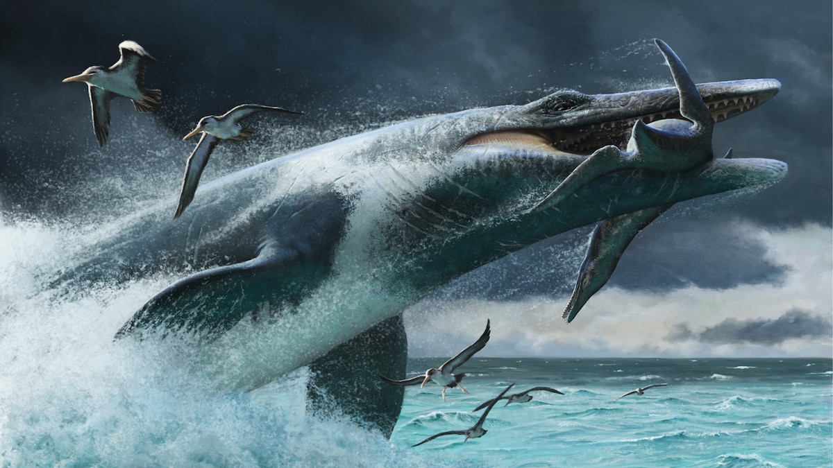 mosasaur-swimming-capabilities-why-they-were-leth-6ac95f12c726e