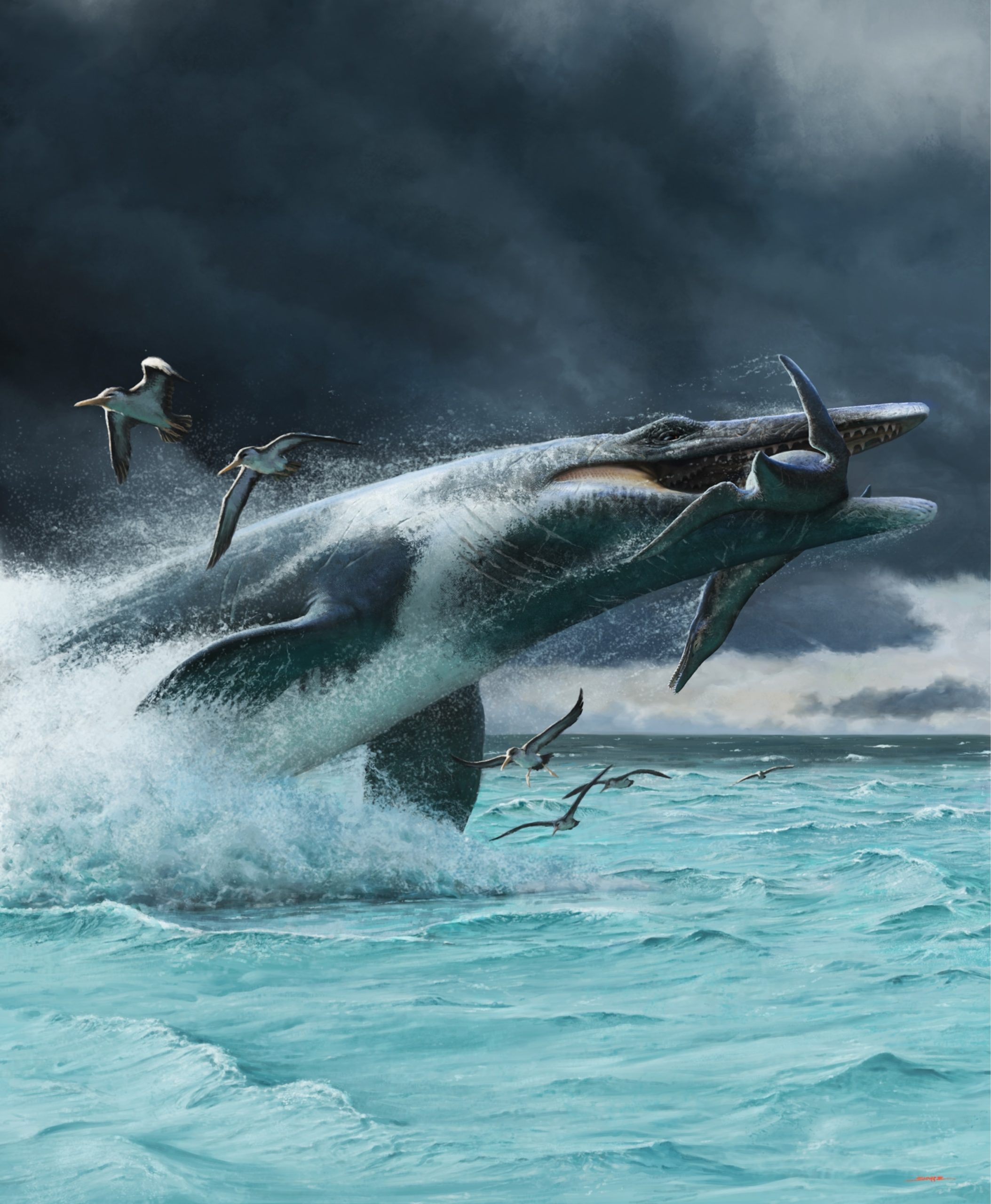 After a powerful, tail-driven lunge, a Tylosaurus bursts out of a stormy Late Cretaceous sea with an unfortunate polycotylid plesiosaur in its jaws as startled Ichthyornis flee the scene.