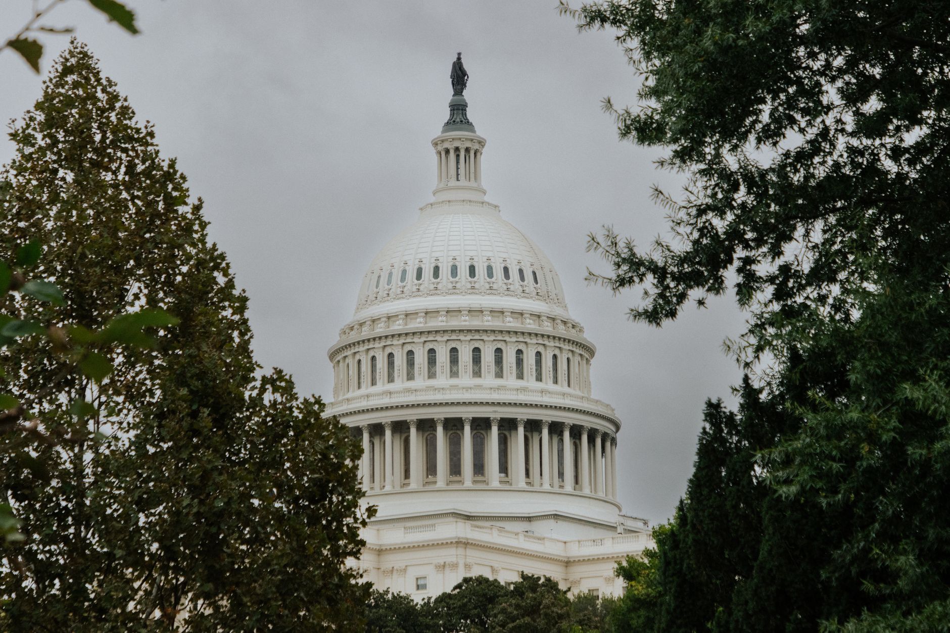 View of the US Capitol dome surrounded by foliage under a cloudy