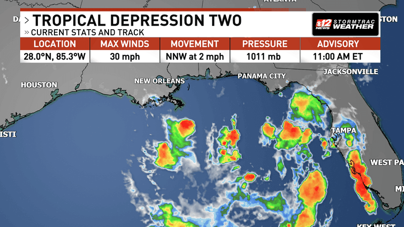 Tropical Depression 2 forms in Gulf; flooding rain remains the biggest threat. (WPEC)