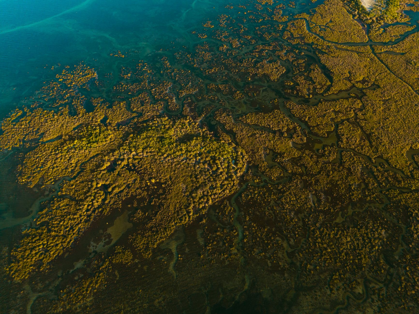 Stunning aerial view of vibrant coastal wetlands in Olhão, Portugal, showcasing intricate