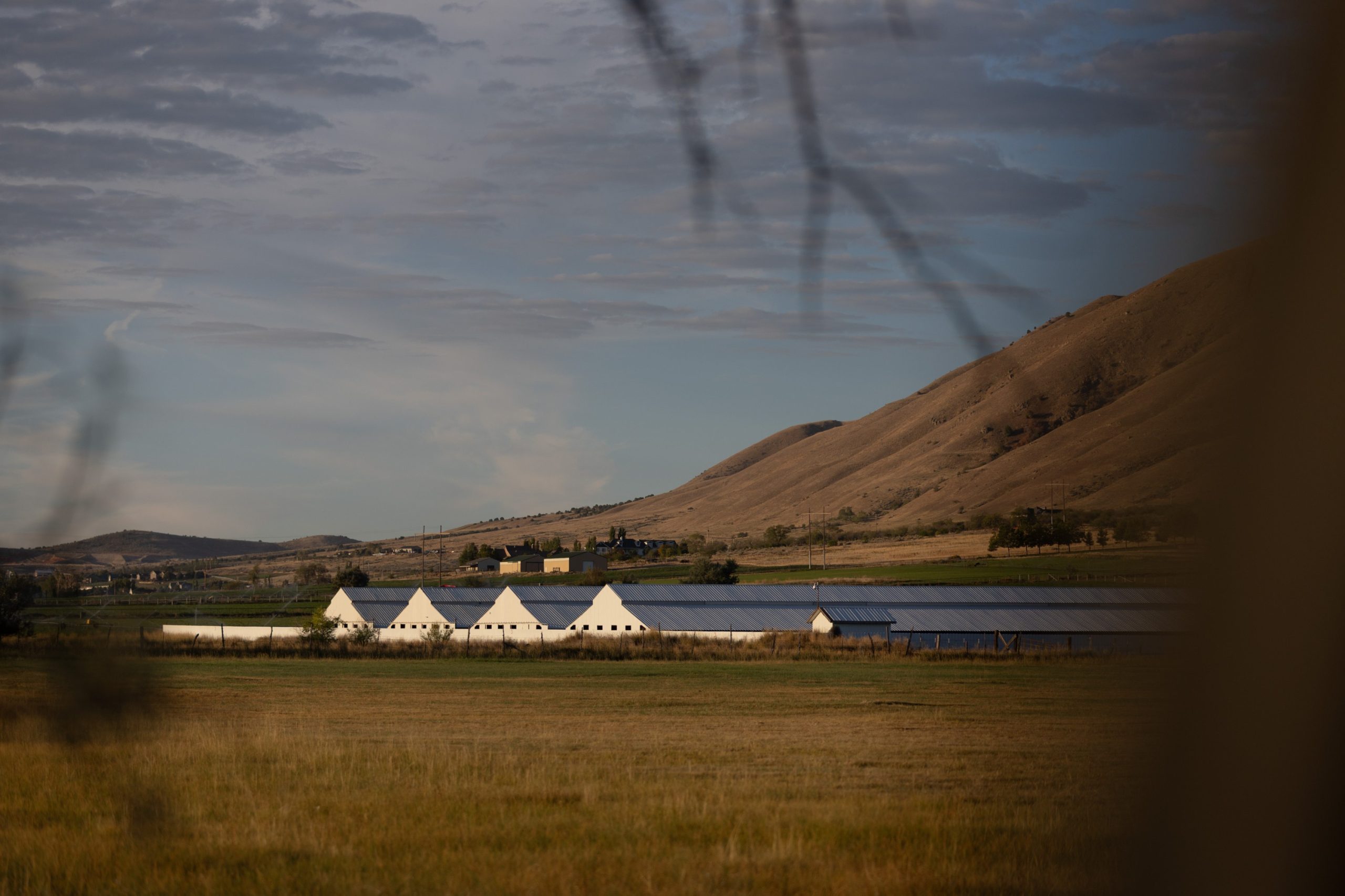 A row of long, white-roofed agricultural buildings sits at the base of a large, barren brown hill under a cloudy sky, viewed across a dry, grassy field.